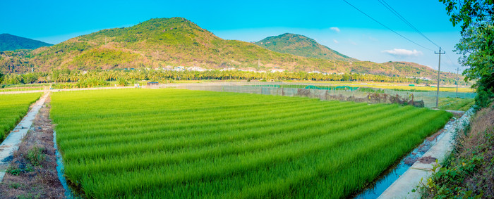 ȫ����ɫũ��