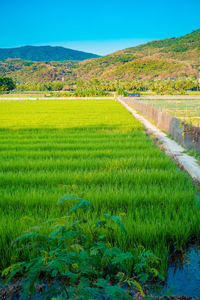 ����ũ��