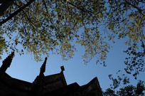 Ϥ����õļⶥ