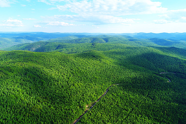 ���˰�����ɫ�ֺ�ɽ·(����) 