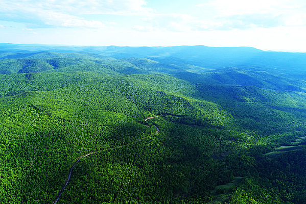 ���˰���ɭ�ֹ�·����(����)  