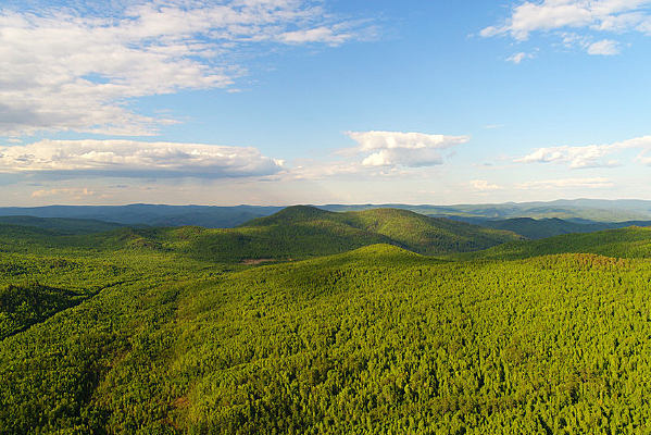 ���˰���ԭʼɭ�ֵ������ 