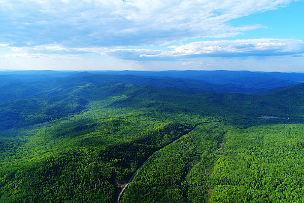 ���˰���ԭʼɭ�ֹ�·���� 