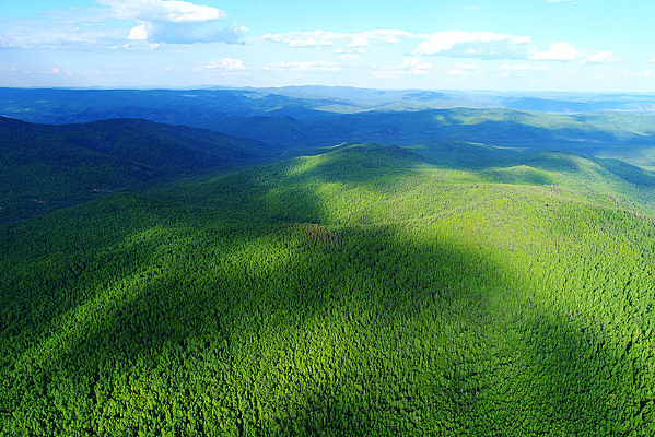 ���Ĵ��˰����ֺ�