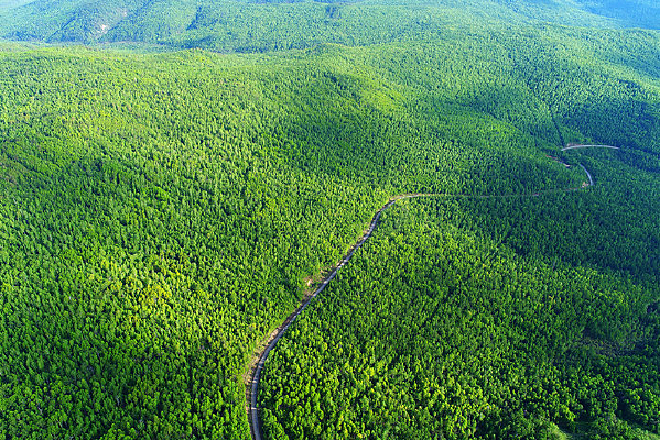 ���Ĵ��˰���ɽ�ֹ�·