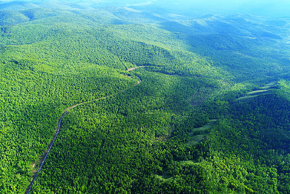 ���Ĵ��˰���ɽ·����