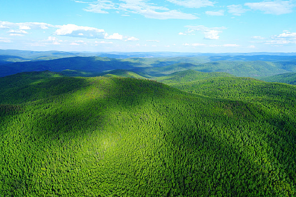 ���Ĵ��˰���̩�����ֺ�