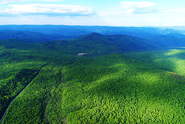 ���Ĵ��˰���ԭʼɭ�� 