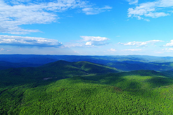 ������ɫ�ֺ� 