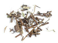 �в�ҩ�����ݰױ�����Ӱͼ