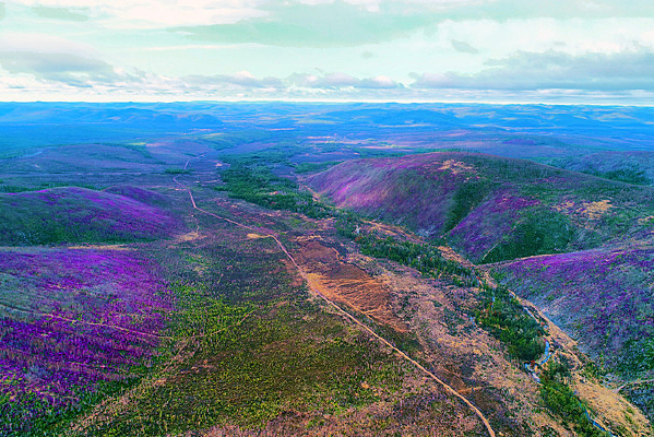 ���˰���ž黨ɽ��