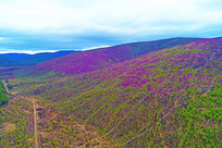 ���˰���ɽ�ֶž黨��