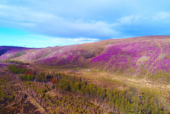 ���˰���ɽ�ֶž黨ŭ��