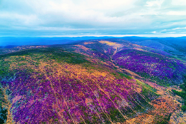 ���˰���ɽ�¶ž黨��