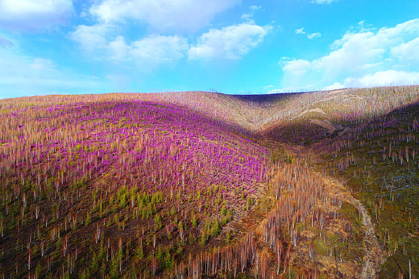 �ž黨Ⱦ���˴���ɽ��