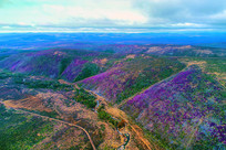 �ž黨Ⱦ����ɽ��