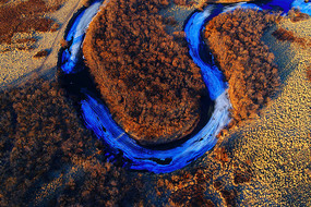 ���ױ���ʪ�غ��壨���ģ�