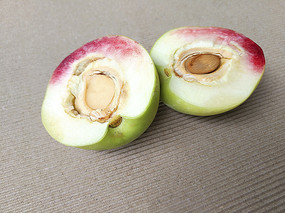 Ҿز