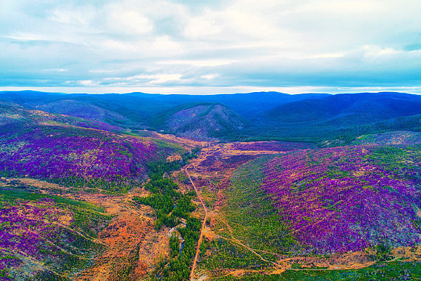 ���˰���ž黨Ⱦ��ɽ��