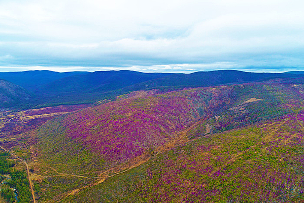 ���˰���ɽ�ȶž��