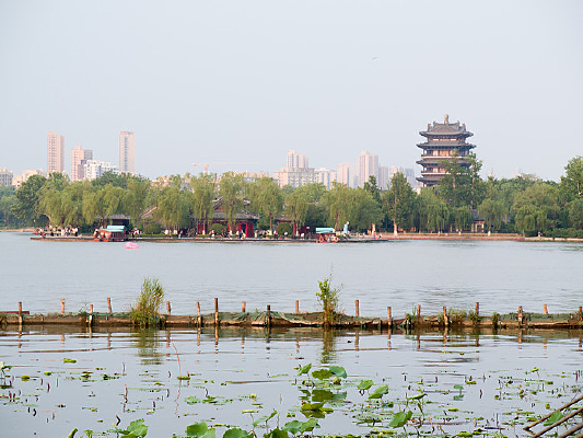 ���ϴ���������