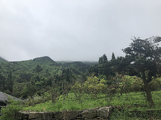 ��ɽ�������