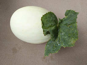 ������ز�