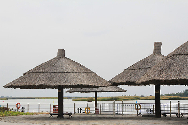 ������ͤ