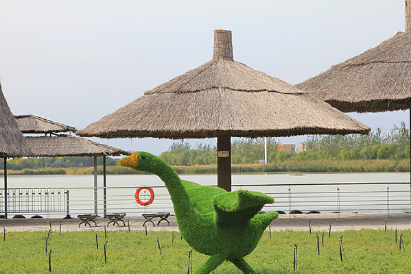 ����ǰ�������