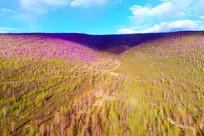 �ž黨Ⱦ��ɽ��