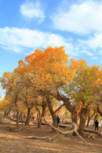 ������������