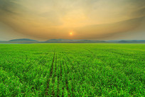 ��������Ϧ���羰