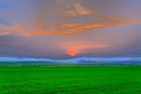 ������ϼ