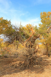 �̸�����������