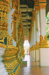 ̩��ʧ��ų���������