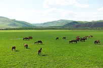 ���ױ�����ԭ 