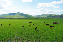 ������Ⱥ���