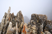 ��ɶ��ڶ��߷�ʨ������ķ绯Ƭʯ