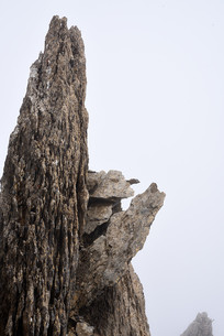 ʨ������Ĺ�ʯ