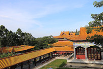 ����ï����̹�ɲ����½���Ⱥ��Ӱ