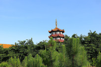 ��̹�ɲï������±���������Ӱ