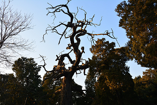 �ʹ�������д