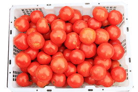 ���ʵ�С������