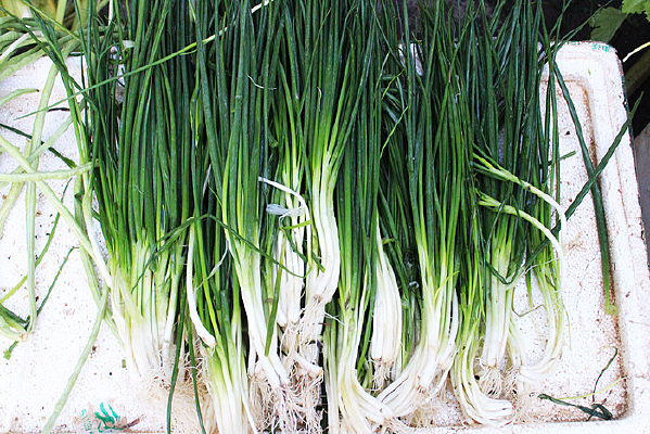 ���ʵ����