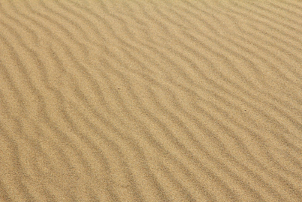 ����ɳ��