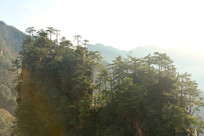 �����żҽ�����ɽ�����ܱ�Ⱥ�� 