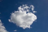 �����Ʈ�����������