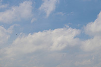 ����Ʈ�ŵİ���