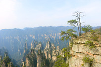 �żҽ�����ɽ���ʷ�