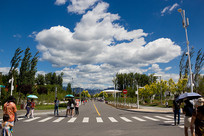 2019������԰�᳡��